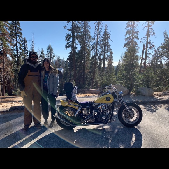 Meet your Posher, Victoria - Picture 1 of 1